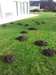 Devastace trávníku zahrady rodinného domu v Řitce.jpg