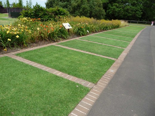 Sydney, Royal Botanic Garden, ukázka typů trávníků v Austrálii.