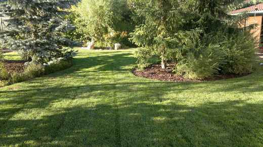 Čistý a zdravý trávník je ozdobou každé zahrady