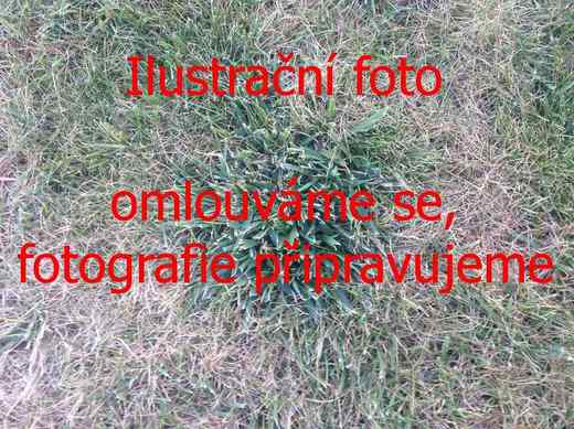 ilustrační foto.jpg