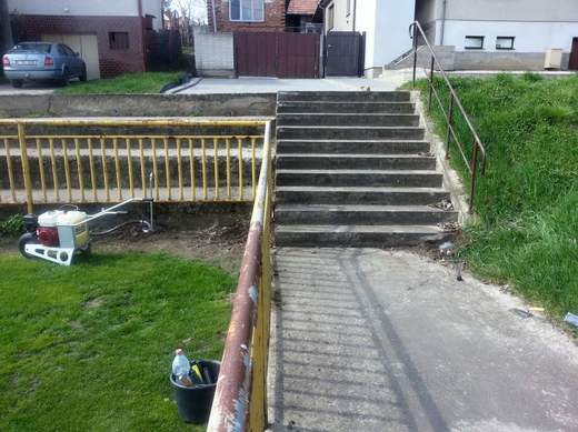 Krtka obecného nezastaví ani betonový chodník.jpg