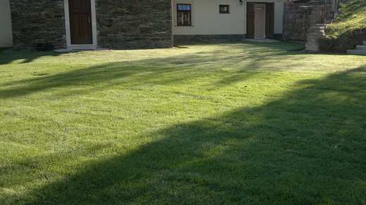 Nově položený trávníkový koberec - první den po položení