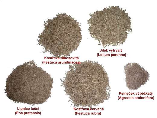 Porovnání velikostí všech vzorků - s podkladem a textem.jpg