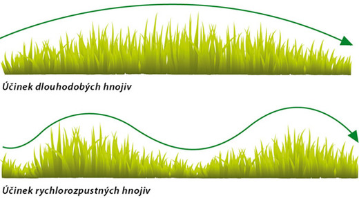 Porovnání růstu trávníku při použití rychlorozpustných hnojiv a dlouhodobých hnojiv