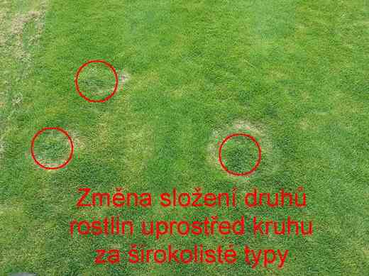 zaměna složení rostlin uprostřed kruhu.jpg
